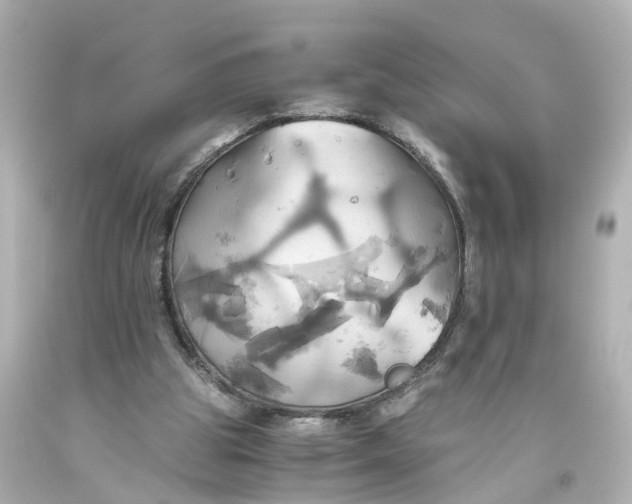 X0000093610153200711051226