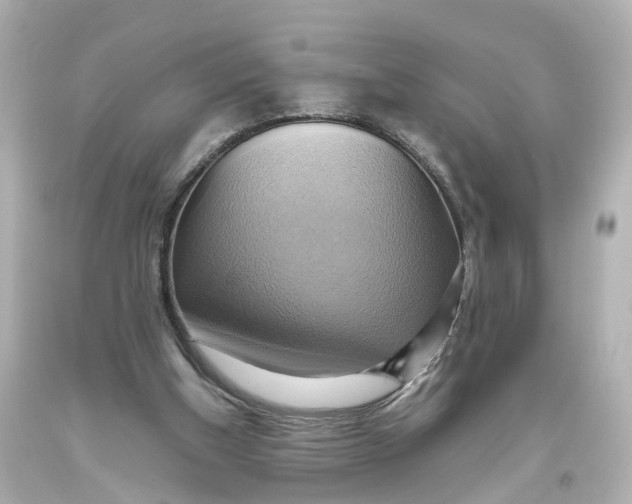 X0000093610154200711051226