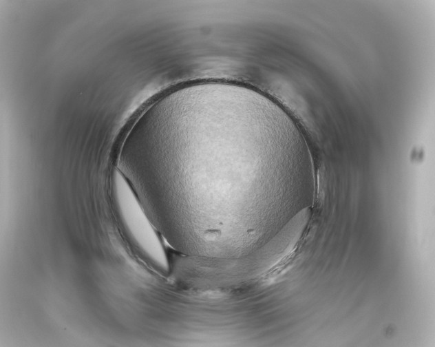 X0000093610156200711051226
