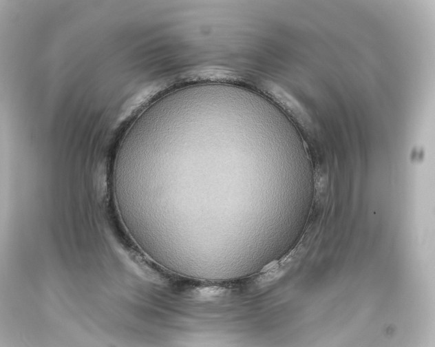 X0000093610158200711051226
