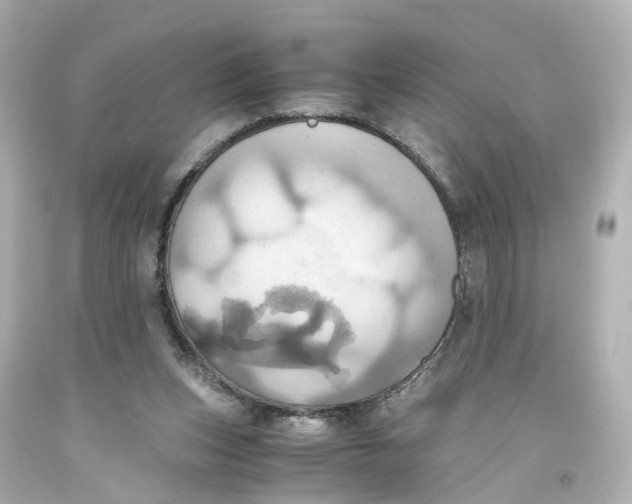 X0000093610159200711051226