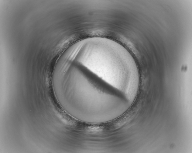 X0000093610161200711051226