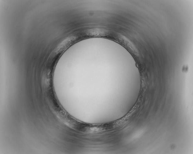 X0000093610163200711051226