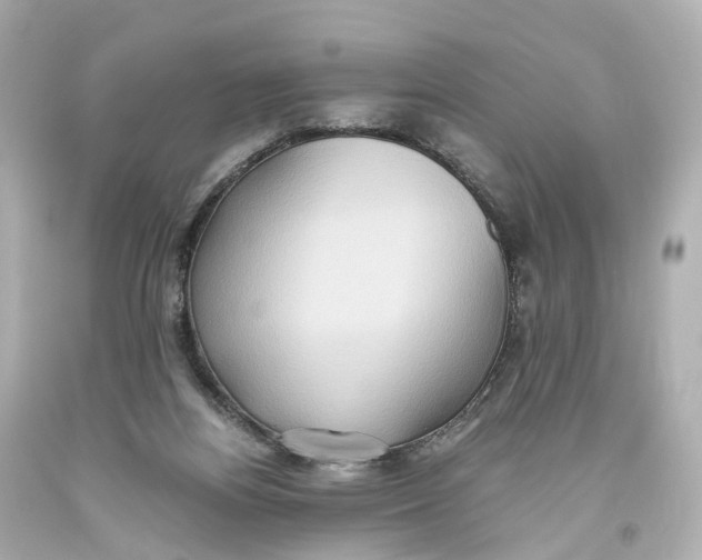 X0000093610164200711051226