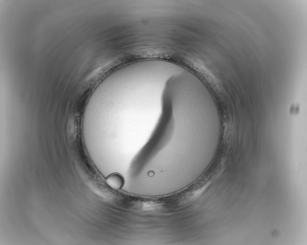 X0000093610165200711051226