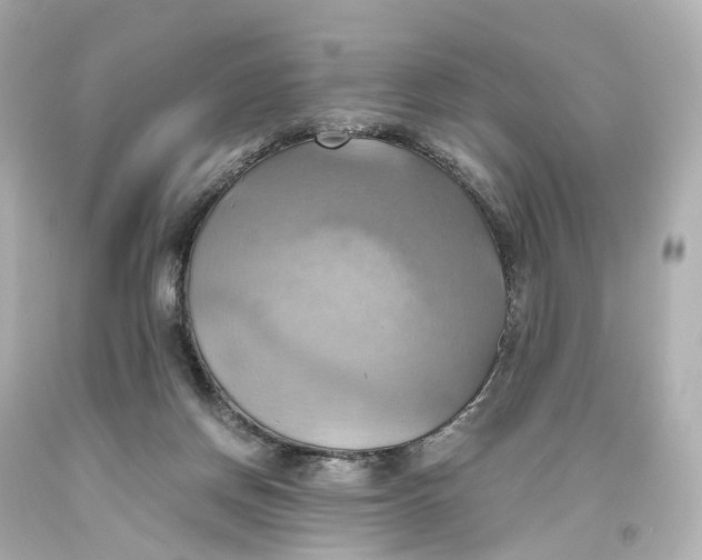 X0000093610166200711051226