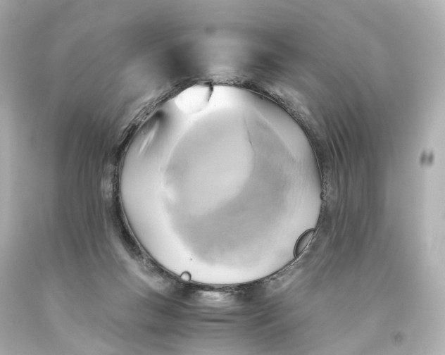 X0000093610167200711051226