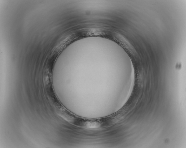 X0000093610169200711051226