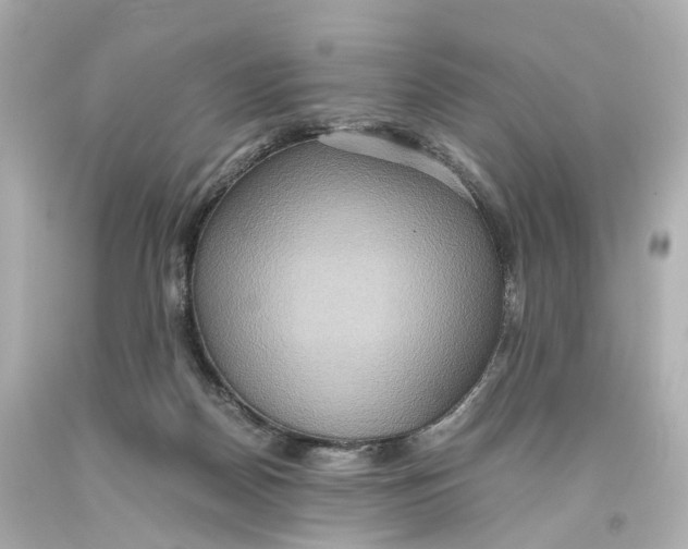 X0000093610170200711051226
