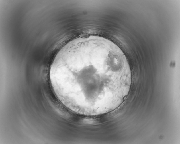 X0000093610171200711051226