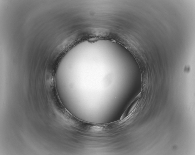 X0000093610176200711051226