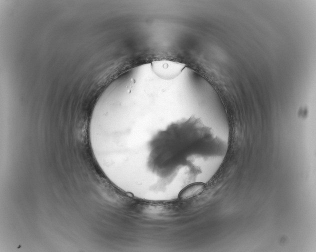 X0000093610177200711051226