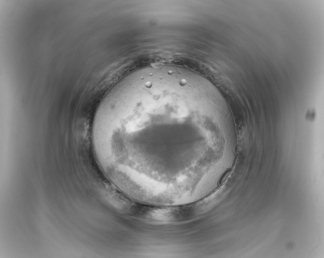 X0000093610178200711051226
