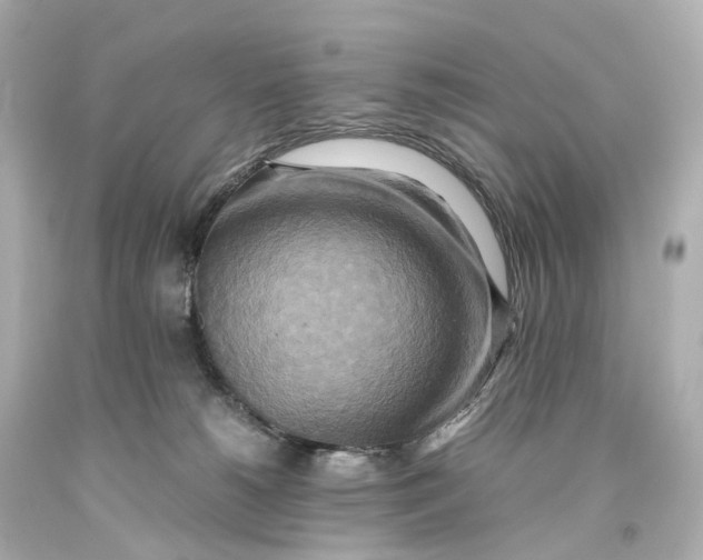 X0000093610180200711051226