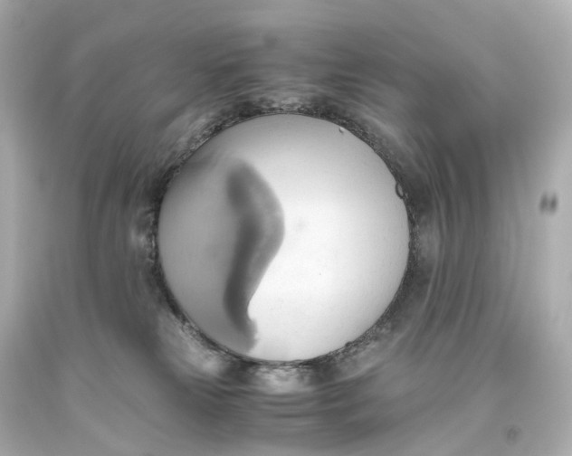 X0000093610181200711051226