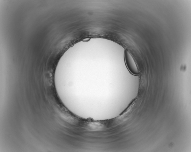 X0000093610183200711051226
