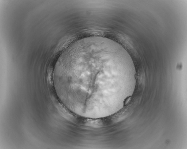 X0000093610185200711051227