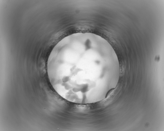 X0000093610187200711051227