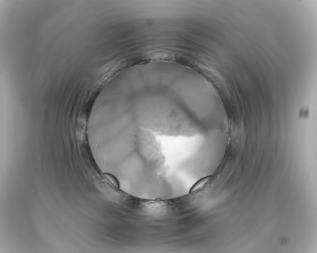 X0000093610189200711051227