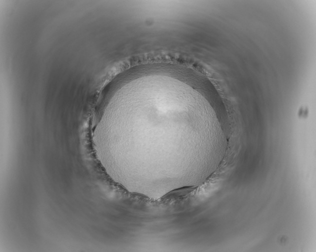 X0000093610192200711051227