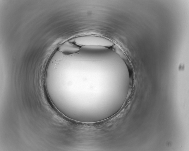 X0000093610193200711051226