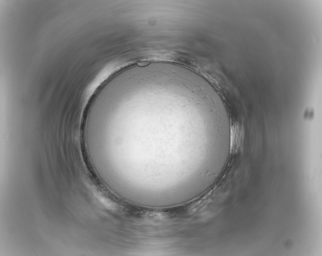 X0000093610195200711051226