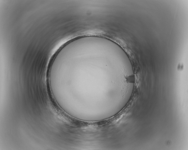 X0000093610196200711051226
