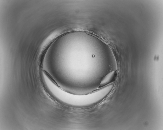 X0000093610197200711051226
