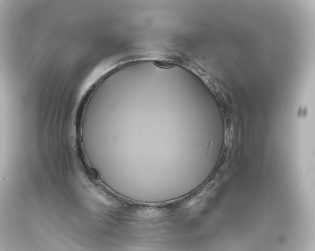 X0000093610198200711051226