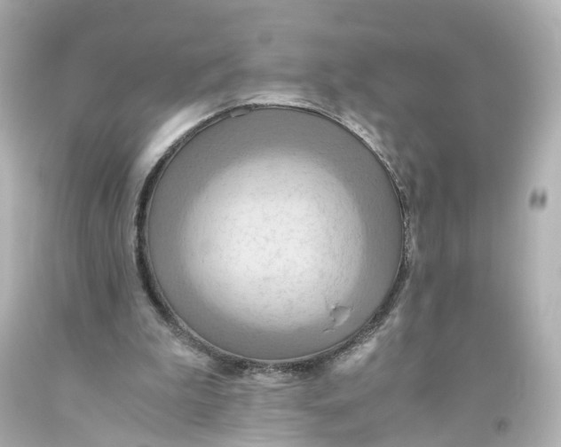 X0000093610199200711051226