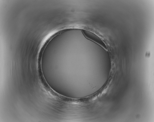 X0000093610200200711051226