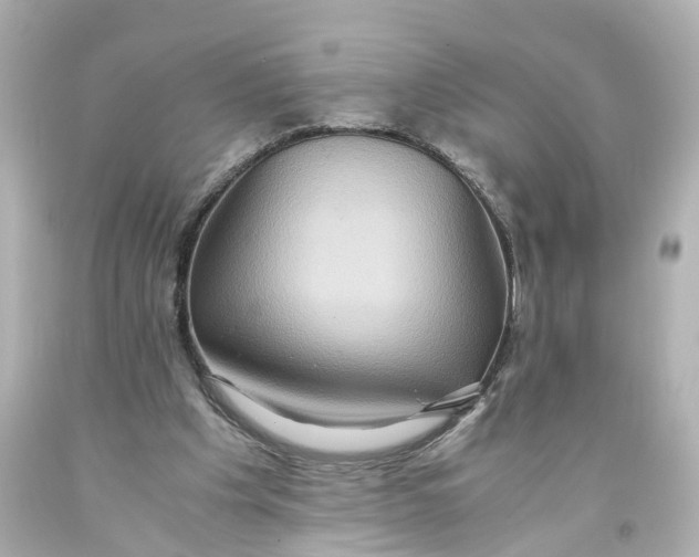 X0000093610201200711051226