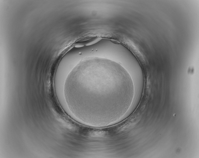 X0000093610202200711051226