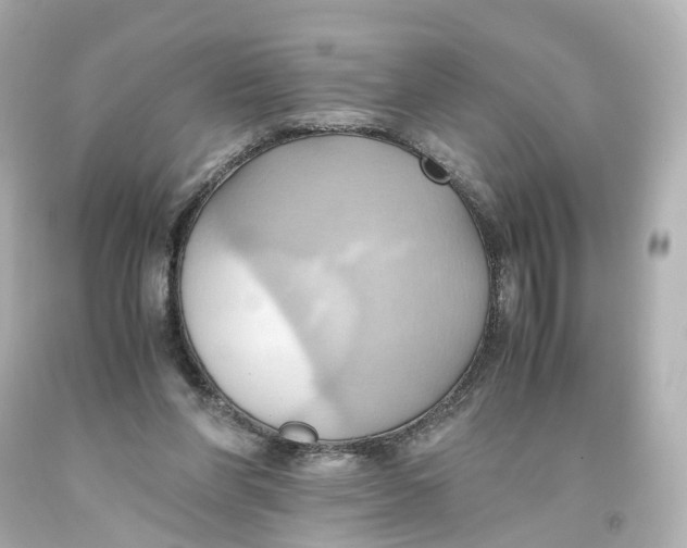 X0000093610206200711051226