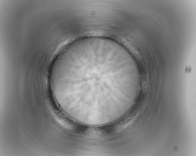 X0000093610207200711051226