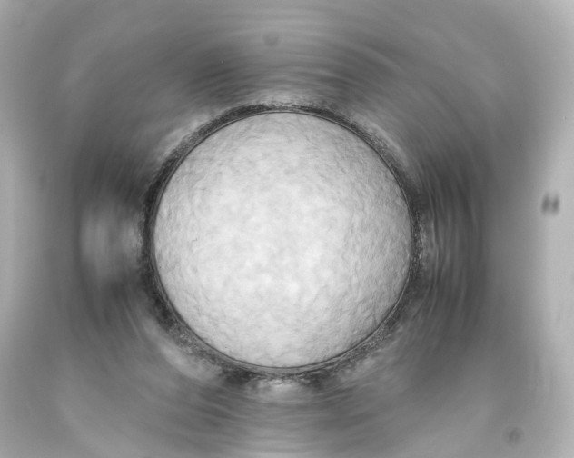 X0000093610208200711051226