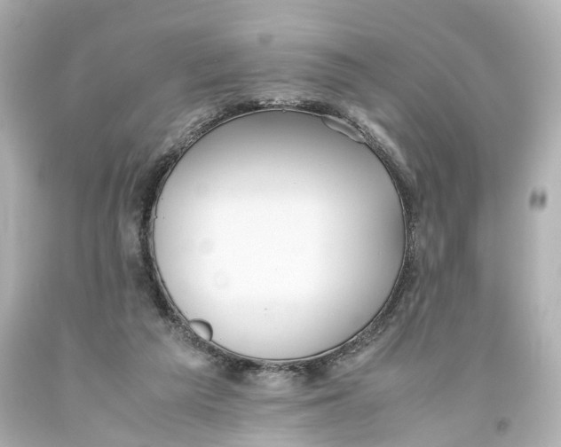 X0000093610209200711051226