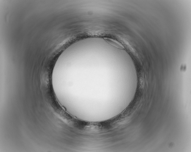X0000093610211200711051226