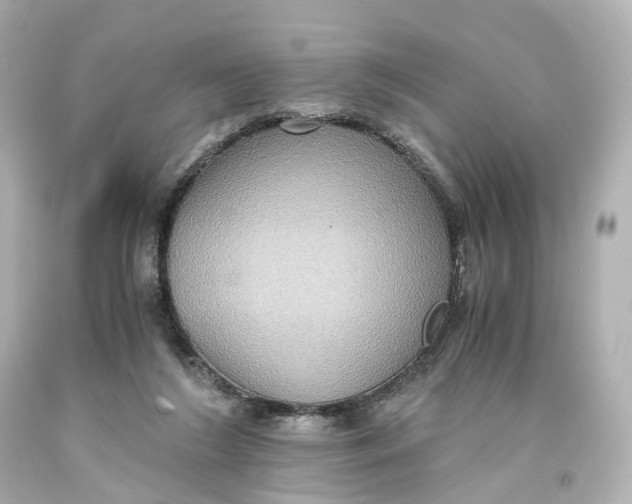 X0000093610212200711051226