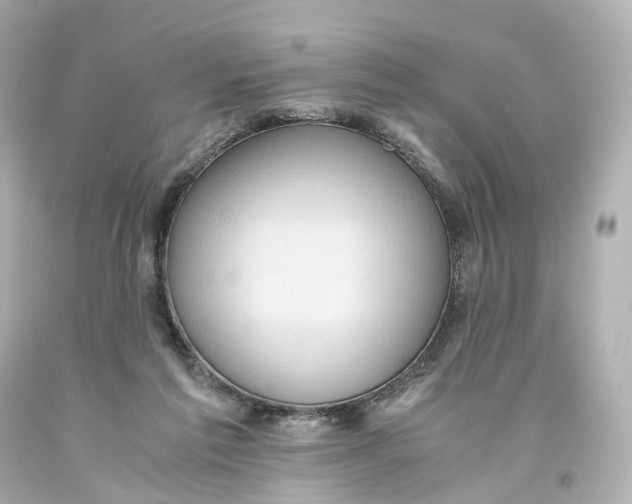X0000093610213200711051226