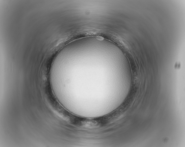 X0000093610215200711051226