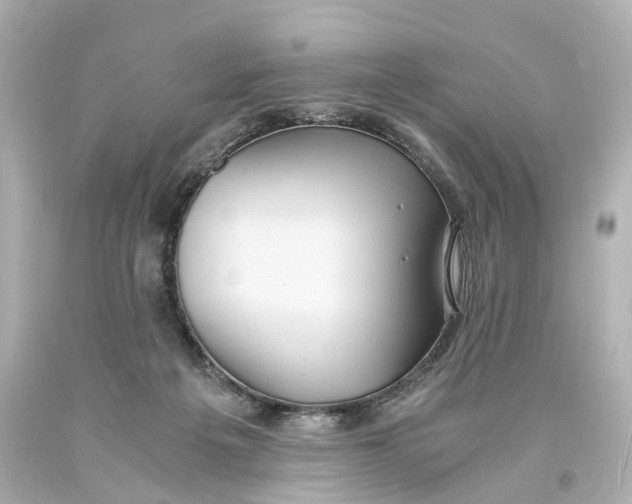 X0000093610217200711051226