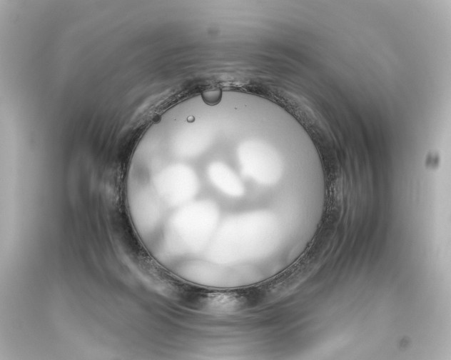 X0000093610218200711051226