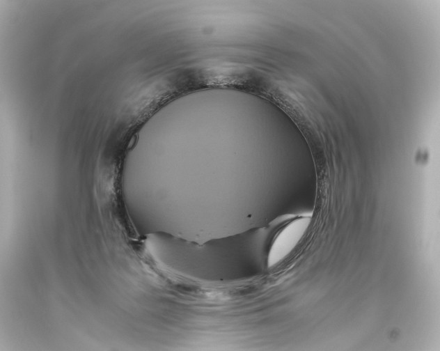 X0000093610219200711051226