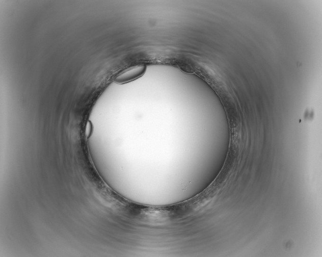 X0000093610221200711051225