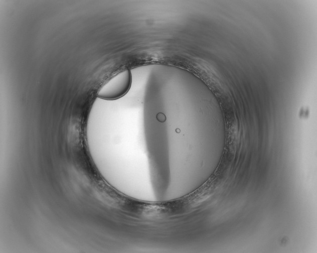 X0000093610222200711051225