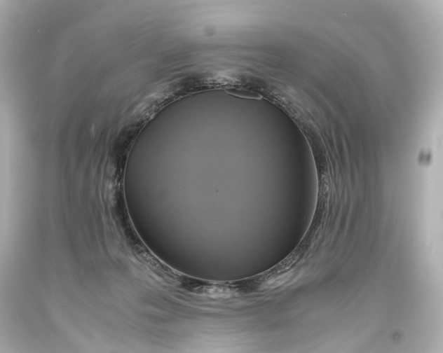X0000093610223200711051225