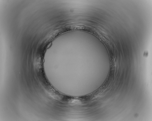 X0000093610224200711051225
