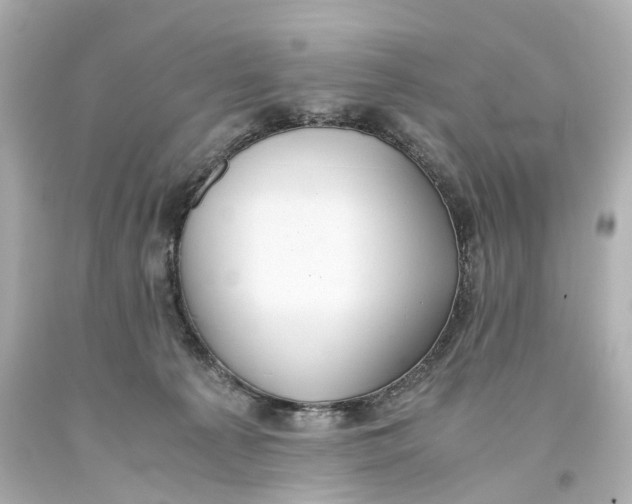 X0000093610225200711051225