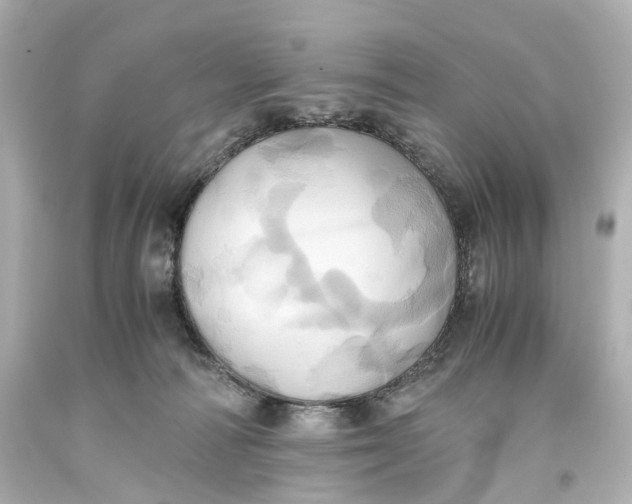 X0000093610226200711051225
